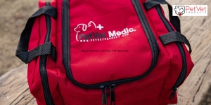 The Essential Guide to First Aid Kits for Pets: What Every Pet Owner Needs to Know