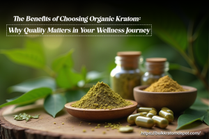 From Leaf to Relief: The Journey of Wholesale Kratom and What You Can Find at Bulk Kratom Depot