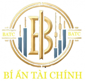 Bí Ẩn Tài Chính: Khám Phá Bí Quyết Làm Chủ Tài Chính, Xây Dựng Tương Lai Vững Chắc