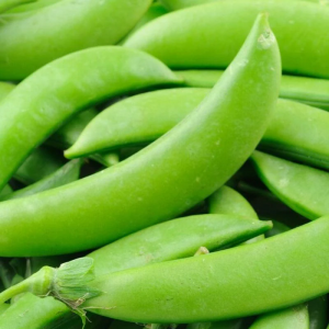 Sugar Snap Pea Seeds