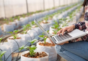 Decoding Opportunities: Jobs After B.Sc. Agriculture In 2025 