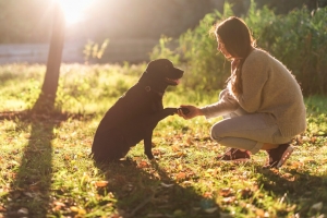 Stress-Free Dog Boarding in Oshawa with Personalized Care at Furry Friends Pet Resort