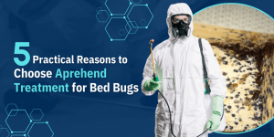 5 Practical Reasons to Choose Aprehend Treatment for Bed Bugs