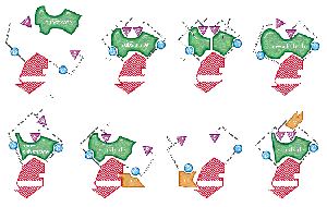North America Leads Enzymes Market Growth, Asia-Pacific Gains Momentum