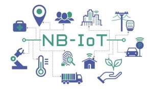 Private Narrowband IOT Market Trends and Growth Forecast: from 2025 to 2032