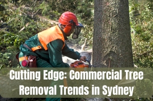Cutting Edge: Commercial Tree Removal Trends in Sydney