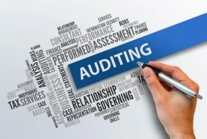 Audit Services by AMM & Associates: Your Trusted Partner in India and Delhi