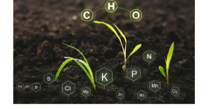 Biostimulants Market Size Projection and Investment Opportunities 2023-2033