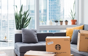 Moving an Office? Here’s Why You Need Experienced Commercial Movers
