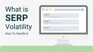 What is SERP volatility and How To Handle It