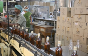 Top 8 Steps for Establishing a Whiskey Manufacturing Plant