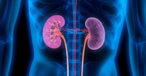 Best Kidney Homeopathic Doctor in India: Expert Care for Kidney Health 