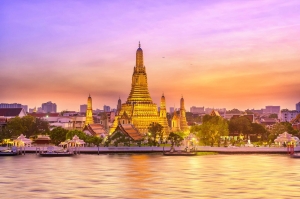 Discover Chiang Mai’s Hidden Cherry Blossom Paradise: Thailand’s Enchanting Secret