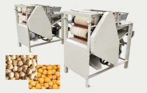 Key Steps for Setting Up a Hummus Manufacturing Plant: Raw Material Requirements