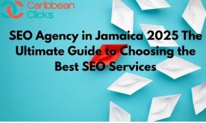 SEO Agency in Jamaica 