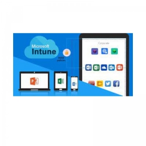 Perks Of MDM like Intune for iOS and iPadOS For Enterprises