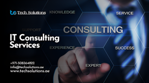 How to Evaluate Software Development Services Effectively