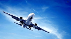Avior Airlines CAI Terminal +1-888-839-0502