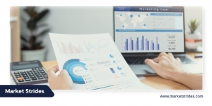 Asia Pacific Medical Grade Liquid Paraffin Market Research 2025-2033: Insights and Growth Drivers