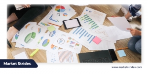 Middle East And Africa Glottic Cancer Treatment Market  Evolution 2025-2033: Key Trends and Strategic Insights