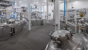 Top 8 Steps for Establishing a Probiotics Manufacturing Plant