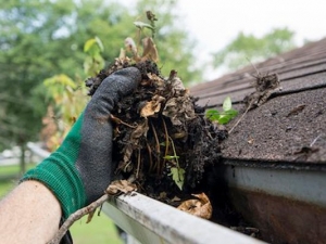 Hire us for a Cheap Gutter Cleaning Service in Pflugerville TX