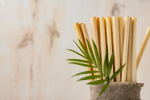 Ditch Plastic: 5 Reasons to Switch to Bamboo Straws Today