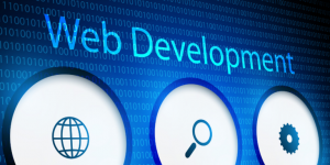 How to Choose the Best Web Development Company: A Beginner’s Guide
