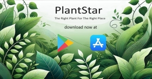 The Importance of Accurate Plant Lookup for Gardening and Landscaping