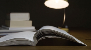 The Ultimate Guide to CA Career Options and Advancement