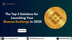 The Top 5 Solutions for Launching Your Binance Exchange in 2025