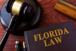 Florida Ethics and Rules for Engineers: A Guide to Professional Integrity and Compliance
