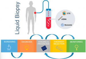 Liquid Biopsy Market Segmentation: Technology, Application & End-User Analysis