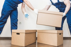 Cheap Removalists vs. Premium Movers: What’s the Real Difference?