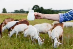 The Power of Goat Milk in Hair and Skin Care: A Natural Beauty Secret