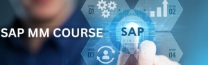 Why You Should Enroll in an SAP MM Course for a High-Paying Career