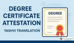 Step-by-Step Process of Degree Certificate Attestation – Detailed Explanation of Each Step
