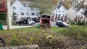 Efficient Stump Grinding Services in Newtown Square – Trusted & Reliable