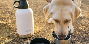 The Ultimate Guide to Choosing the Best Water Bottle for Dogs