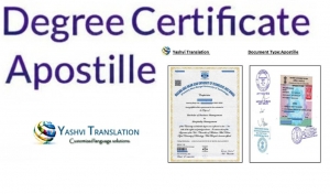 Process of Getting a Degree Certificate Apostille – Common Reasons Such as Higher Education, Employment, or Immigration