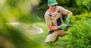 Need a Lush Lawn in Chichester? Try These Expert Tips!