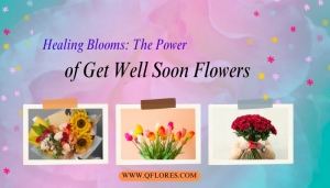 Healing Blooms: The Power of Get Well Soon Flowers