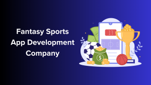 Fantasy Sports App Development Company: Building the Future of Sports Engagement
