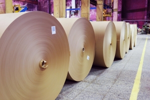 Why Is Sweden Containerboard Market Thriving? Key Factors Behind the Boom in 2030