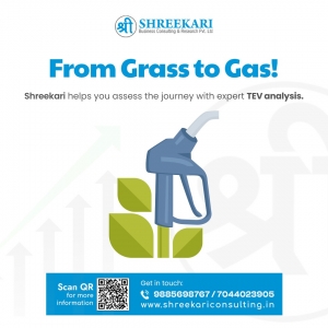 The Role of TEV Consultants in India: A Comprehensive Guide