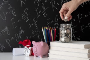 What is the normal school fees in Dubai?