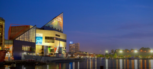 Baltimore Aquarium: Exciting Attractions and the Magic of Aquatic Life