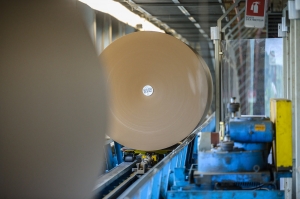 Why Is Japan Containerboard Market Booming? 5 Key Factors Driving Growth in 2030