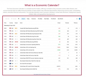 Live Forex Economic Calendar
