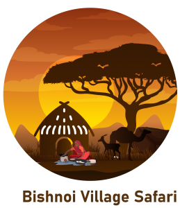 What Makes a Desert Camel Safari Near Jodhpur Special?